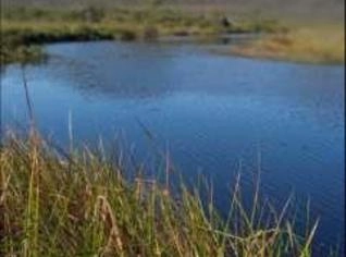 Fazenda à Venda em Piatã - 230 Hectares