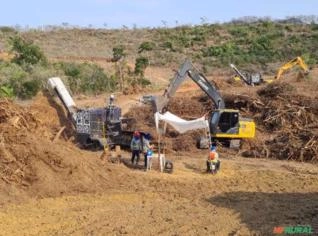 Aluguel de Picador Florestal Vantec com Operador