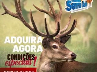 Cervos Rusa - Exóticos para sua Fazenda ou Chácara