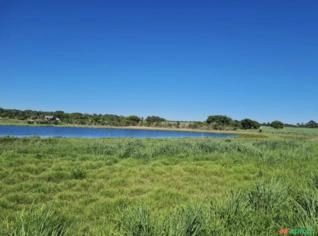 Fazenda em Barretos SP - 67,8 Alqueires com Cana