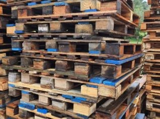 Pallets Usados Modelo PBR - São José dos Pinhais