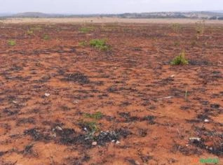 Fazenda 340 alqueires para cria, recria e lavoura