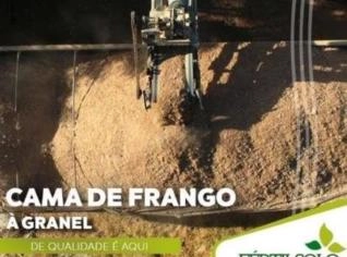 Cama de Frango Fertilsolo - Qualidade e Preço