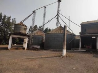 Silo 18 mil sacas - Oportunidade