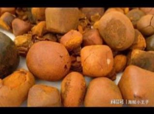 Compra de pedra de fel bovino - Pagamento até R$320/g