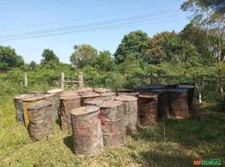 Arrendamento de Área de Pinus para Resinagem