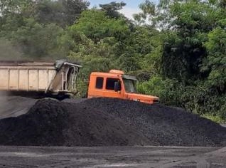 Compra de Carvão Vegetal Moinha - Pagamento à Vista