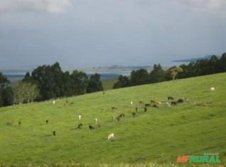 Fazenda Chapadão em Pimenta e Guapé - 1238ha