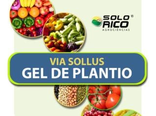 Gel Plantio: Polímero Solo para Melhor Desenvolvimento