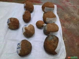 Meteoritos Raros - Rochas Espaciais à Venda