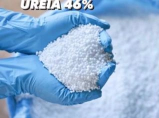 Ureia 46% para Agricultura - Curitiba, PR