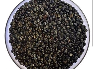 Crotalária Juncea - Forrageira de Qualidade