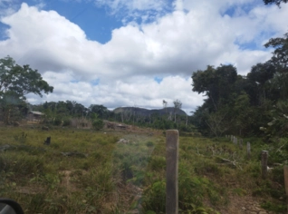 Fazenda Roraima em Caracaraí - Excelente Oportunidade