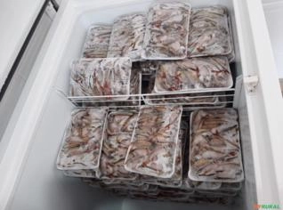 Lambari Eviscerado Fresco - 500g