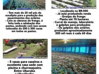 Fazenda B.E. entre Uberaba e Uberlândia com 70 ha