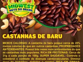 Fruto de Baru In Natura - Kilo