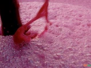 Vinho Tinto Seco a Granel - Flores da Cunha RS