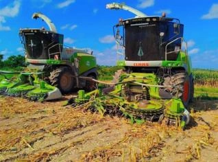 Máquina Forrageira Alto Mutriz para Silagem