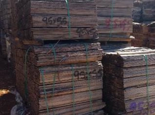 Madeira de Eucalipto para Palete à Venda