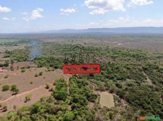 Fazenda 498 Alqueires em Flores de Goiás - Dupla Aptidão