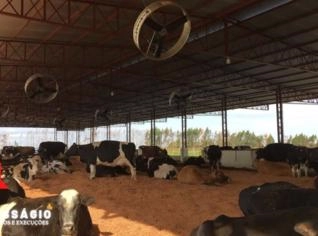 Galpões Metálicos em Dourados - Qualidade e Agilidade
