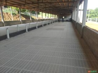Piso Plástico para Suínos de Alto Padrão