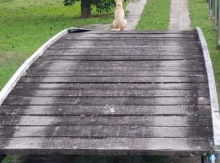 Ponte em Aço 10m com Corrimãos - Excelente Estado
