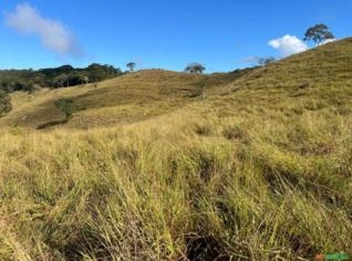 Fazenda à Venda em Naque/MG - 203 Hectares