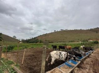 Fazenda de 350 Hectares à Venda
