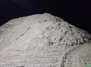 Bagaço de Cana para Ração em Ribeirão Preto