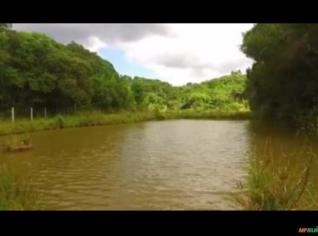 Chácara Rural 3 Alqueires em Quatro Barras - PR