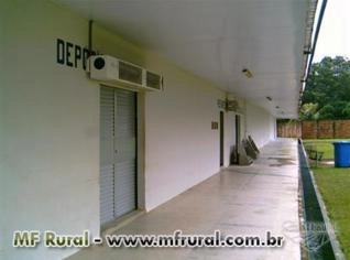 Frigorífico de Peixe Completo em Bragança-PA