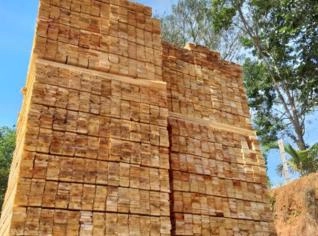 MGO MADEIRAS - Serraria e Pallets Sob Medida