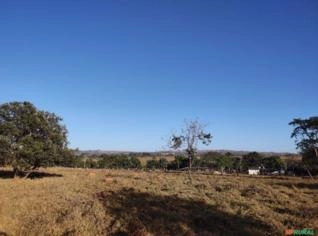 Fazenda 53 ha com córrego e poço artesiano em MG