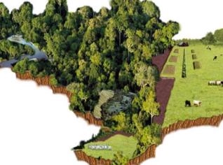 Área de Reserva no Paraná - Melhor Preço