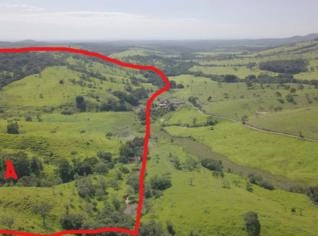 Fazendas 256 ha formadas para gado - MG
