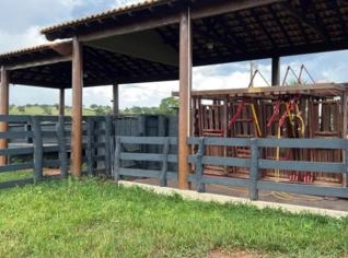 Fazenda 107 Hectares em Corguinho MS
