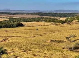 Fazenda à Venda - Beira da BR-364, MT