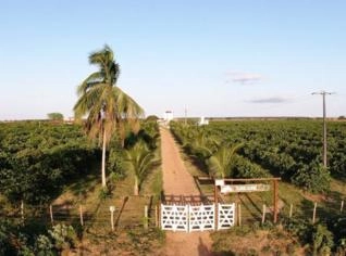 Fazenda em Crisópolis com 130 Tarefas e Irrigação