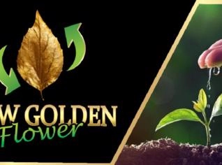 New Golden Flower - Adjuvante Agrícola eficaz