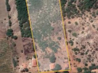Fazenda 3,4 ha com Sede e Água - Juazeiro, BA