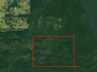 Reserva Legal para Compensação no Pará