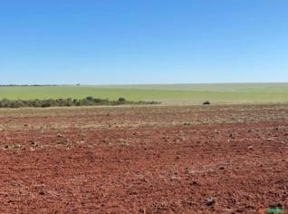 Fazenda Plana com 374 Alqueires em Caçu - GO