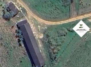 Fazenda de Eucalipto com Estrutura Completa