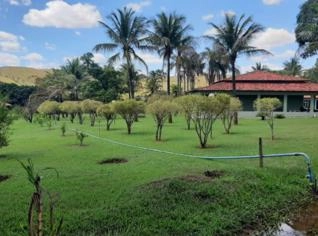 Haras Luxuoso em Brasília - 35 Hectares Planejados