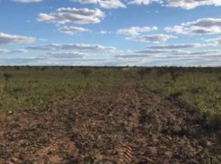 Fazenda de 503 hectares em Jaborandi BA