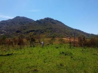 Fazenda para Arrendamento - 1 Hectare em Diamantina