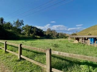Fazenda Rural Excelente em Vassouras - 75 Hectares