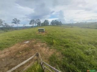 Fazenda 22 Hectares Próxima à BR 262 em Campos Altos