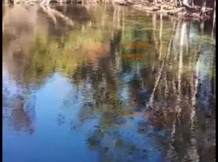 Fazenda 26 ha à beira do Rio dos Anjicos